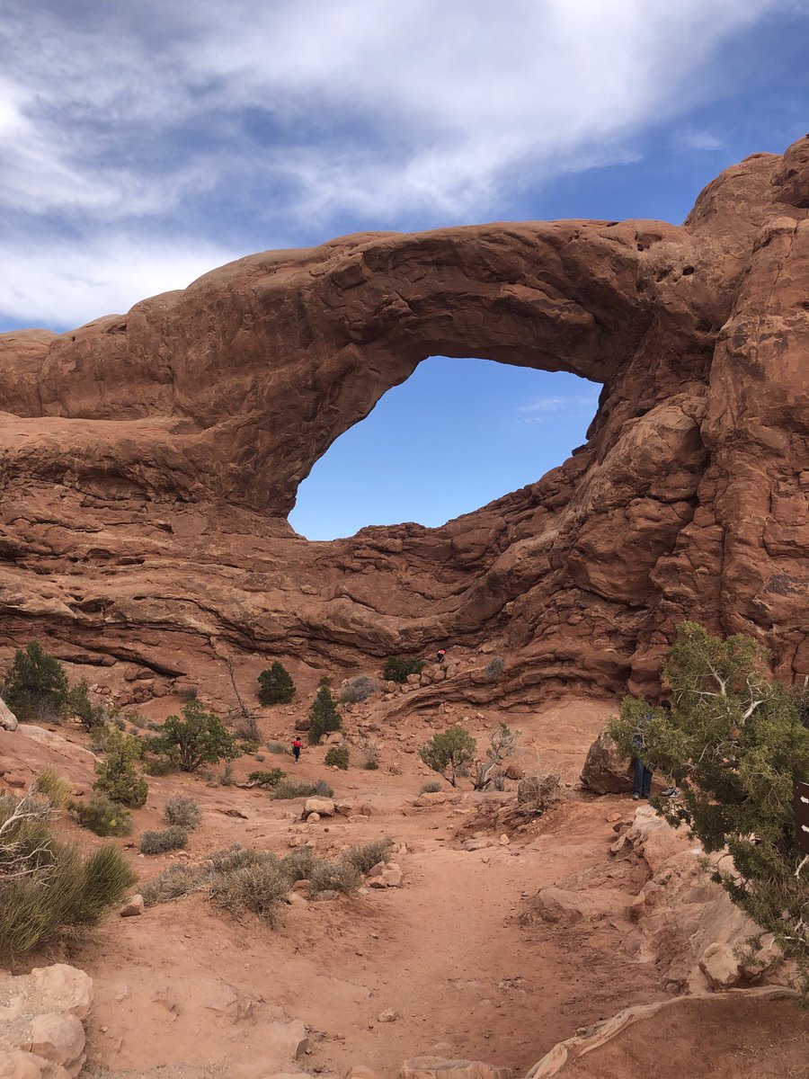 Doug Maclean tweet media