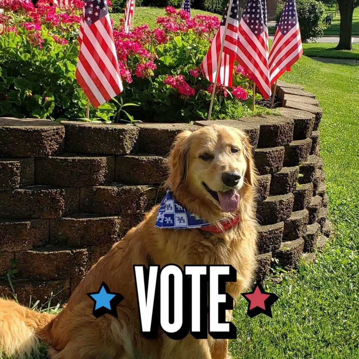 Henleytherapy's tweet photo. Please vote! #Loveisloveislove, #Bekind, #Makeitcount, #Bethedifference https://t.co/zlxqWtNIq9