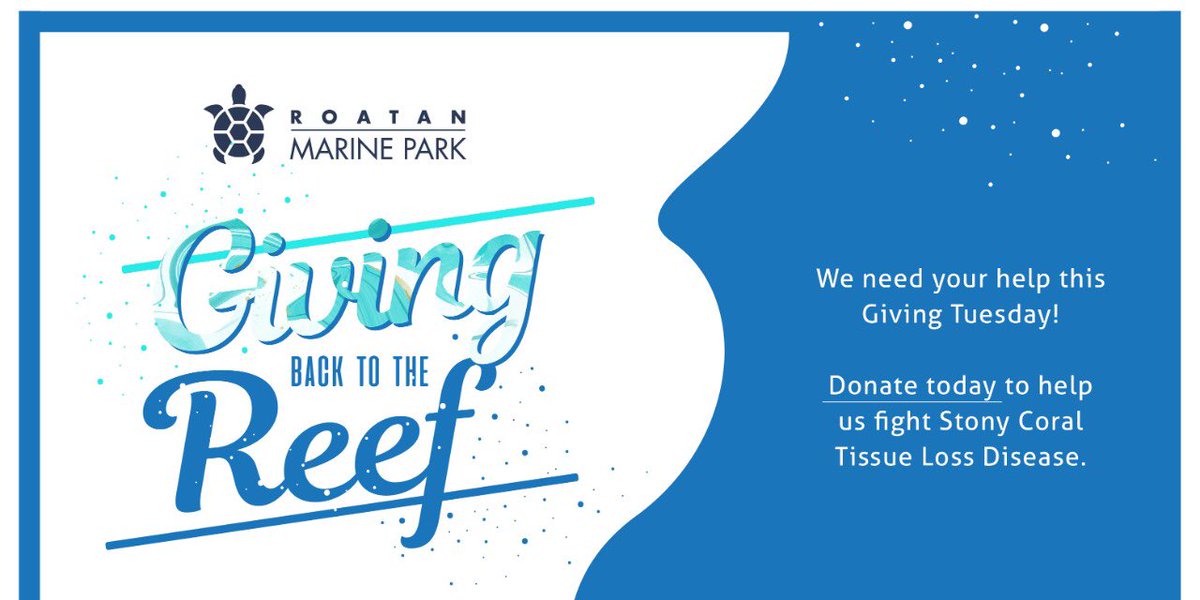 Roatan Marine Park tweet media