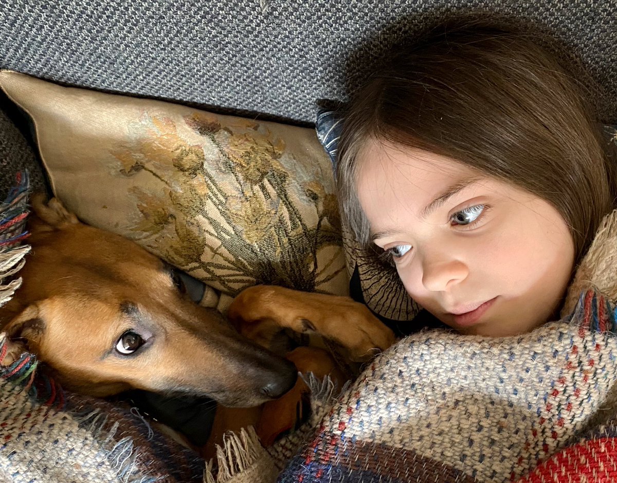 silverpebble's tweet image. When dogs simply LOOK at their owners their oxytocin levels increase (triggering feelings of love &amp;amp; strengthening their bond). If they nestle together &amp;amp; watch Strictly, both get a large dose of oxytocin &amp;amp; their cortisol levels drop.