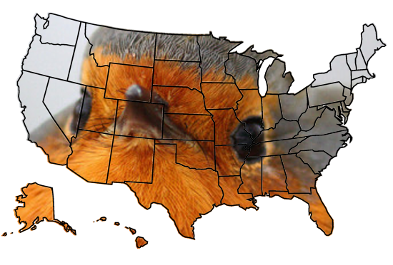 ProBirdRights's tweet image. my electron mapp