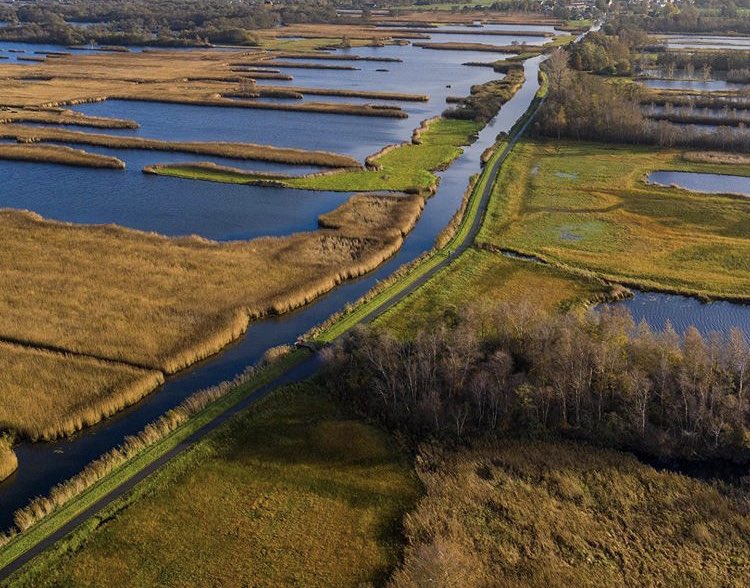 Superplaat van Lusthof De Haeck in de herfst. Even de foto openen voor het mooiste beeld. Met dank aan <a href="/bartdekoning/">Bart de Koning</a> #hiermoetjezijn #nieuwkoopseplassen #wandelroute #stiltegebied