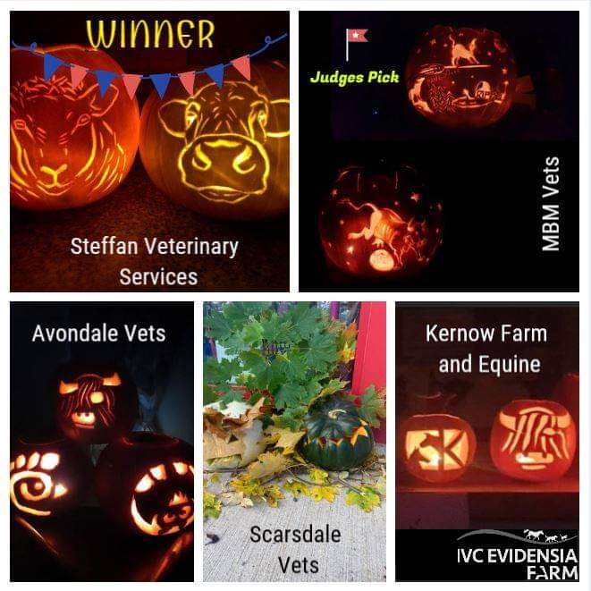 IVCEvidensiaFarmVets tweet media