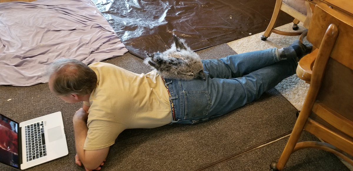 More Baby vulture: In a basket, as a pancake, happily watching Queer Eye: