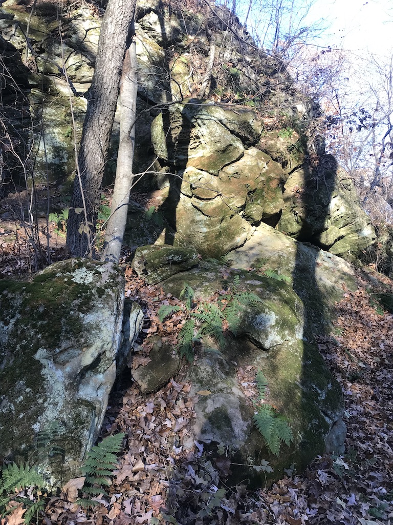 liz2point0's tweet photo. Ahh, that helped. #ElectionWaitingAngst #HikeInTheWoods https://t.co/U2NNJaEhD5