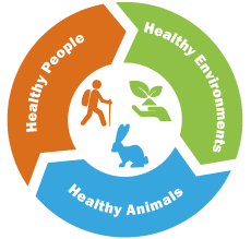  #Collaboration is key to overcome  #emerging infectious diseases that may lead to global consequences  #OneHealth approaches offer a unique path bringing together human, animal & environmental health experts to prevent, respond to & control public health events 1/n #OneHealthDay