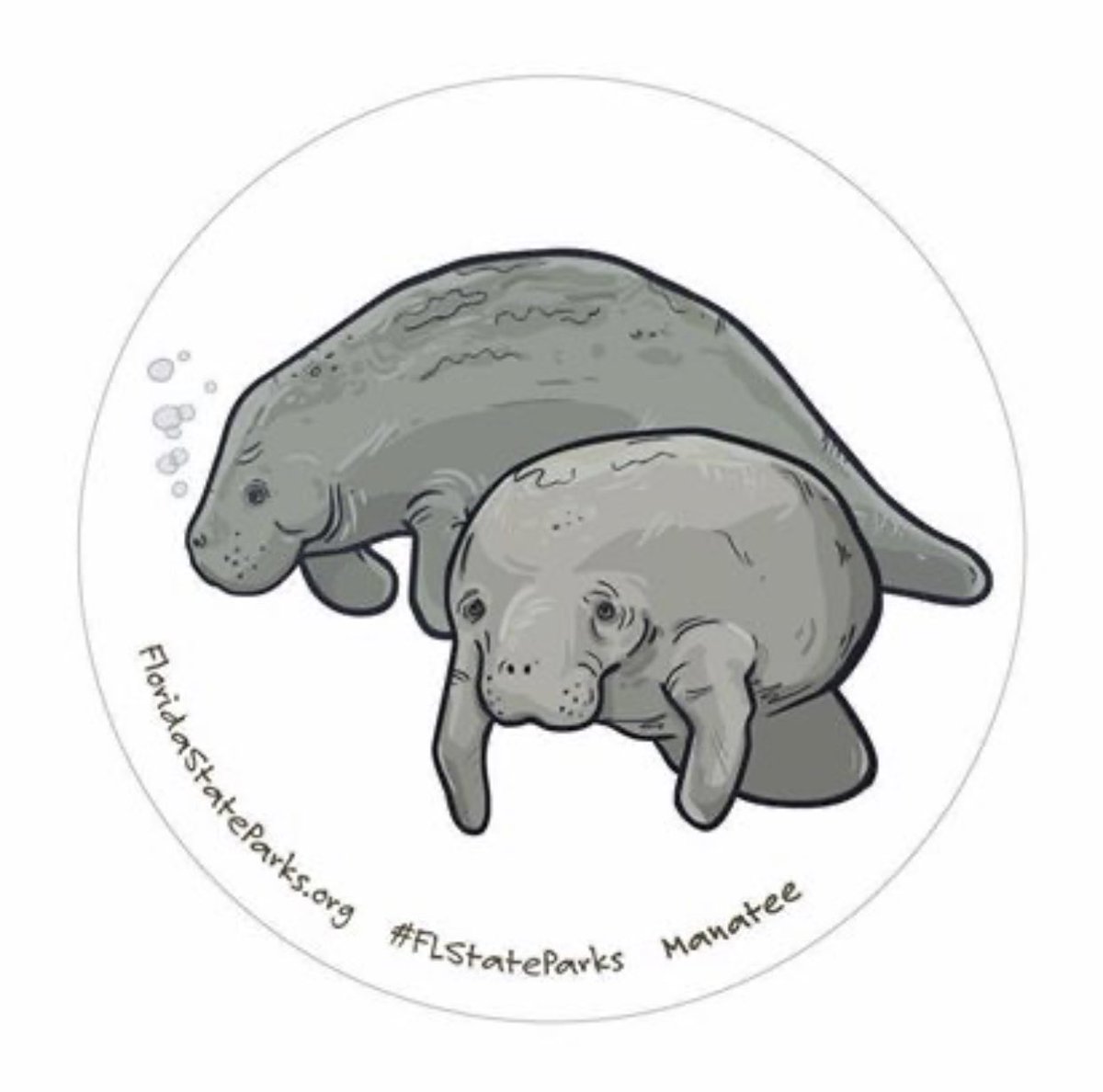 FOLKStweets's tweet photo. Did you know Lovers Key State Park has its very own manatee plush toy?! Their names are Mom Molly and Baby Minnie! The plush can be found at the gift shop in the park! https://t.co/pz1ijSl1lI