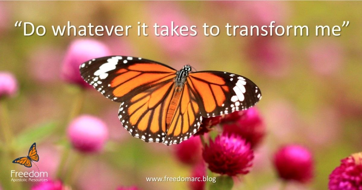 freedomarc's tweet photo. “Father, I choose to give You full permission to do whatever it takes to change me and transform me into the image of Jesus.”
Mike Parsons | https://t.co/bdC25dUabV #imageofjesus #TransformationTuesday https://t.co/JpDE8iARKY