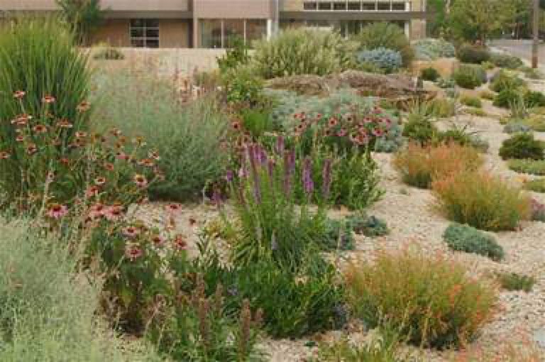 Waterwise Lecture TOMORROW 1:30p-3:00 PST UofI &amp; Don Brigham- waterwise landscape design discussion. 
Maglin sponsors this session and will demonstrate their interactive Product Builder tool. $100 Amazon gift card to five lucky participants! Join Us!
uidaho.zoom.us/j/89665402847#…