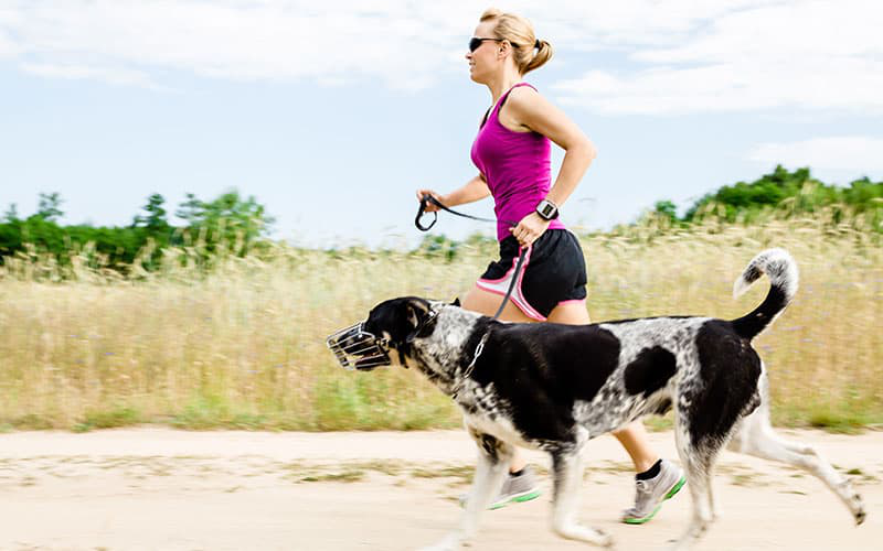 Weight Loss Coaching for Dogs: lttr.ai/Yo6i

#Health #Weightlosscoaching #Canineweightloss