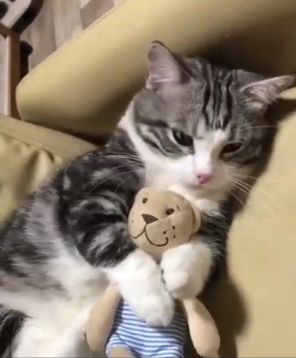 ❛ aclaraciones:—iré actualizando cuando me encuentre libre o cuando encuentre fotitos lindas de hyunjin siendo un gatito. ♡—es el primer hilo que hago, si hay algo mal me pueden decir.—por favor den fav y rt, soy una cuenta pequeña, me ayudaría mucho.—hyunjin los ama. ♡