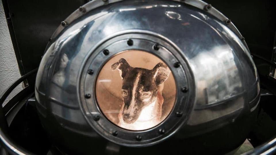 SuavesLomitos's tweet photo. Fue el 3 de noviembre de 1957, hace exactamente 63 años la Unión Soviética lanzó al espacio el Sputnik II, su 2º satélite, en el iba la perrita "Laika", el primer ser vivo en orbitar la Tierra, lamentablemente ella nunca regresó a nuestro Planeta 🐶🚀 https://t.co/rgXxDvEcPI https://t.co/Z2jddGa5wl