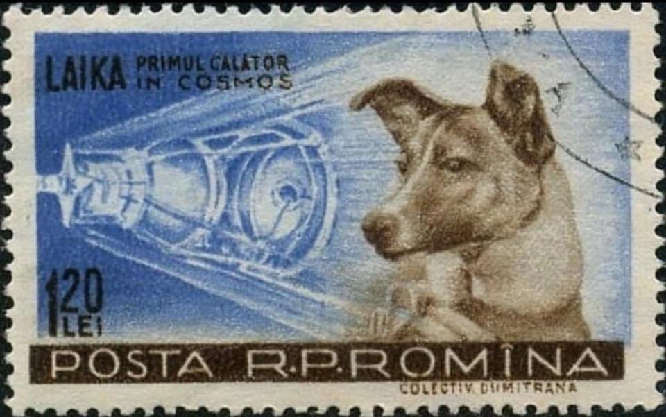 SuavesLomitos's tweet photo. Fue el 3 de noviembre de 1957, hace exactamente 63 años la Unión Soviética lanzó al espacio el Sputnik II, su 2º satélite, en el iba la perrita "Laika", el primer ser vivo en orbitar la Tierra, lamentablemente ella nunca regresó a nuestro Planeta 🐶🚀 https://t.co/rgXxDvEcPI https://t.co/Z2jddGa5wl
