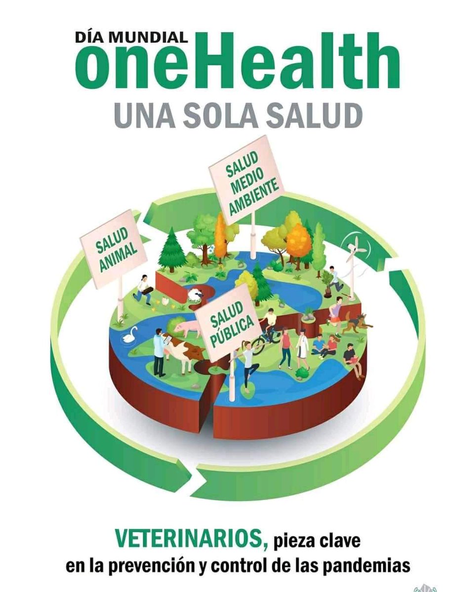 avemvall's tweet photo. 🌍One health 🌍 la salud🏥 humana , la salud animal y el medio ambiente no pueden ser separados.

#onehealth #veterinarios #zoonosis https://t.co/WhJXuZdQfk