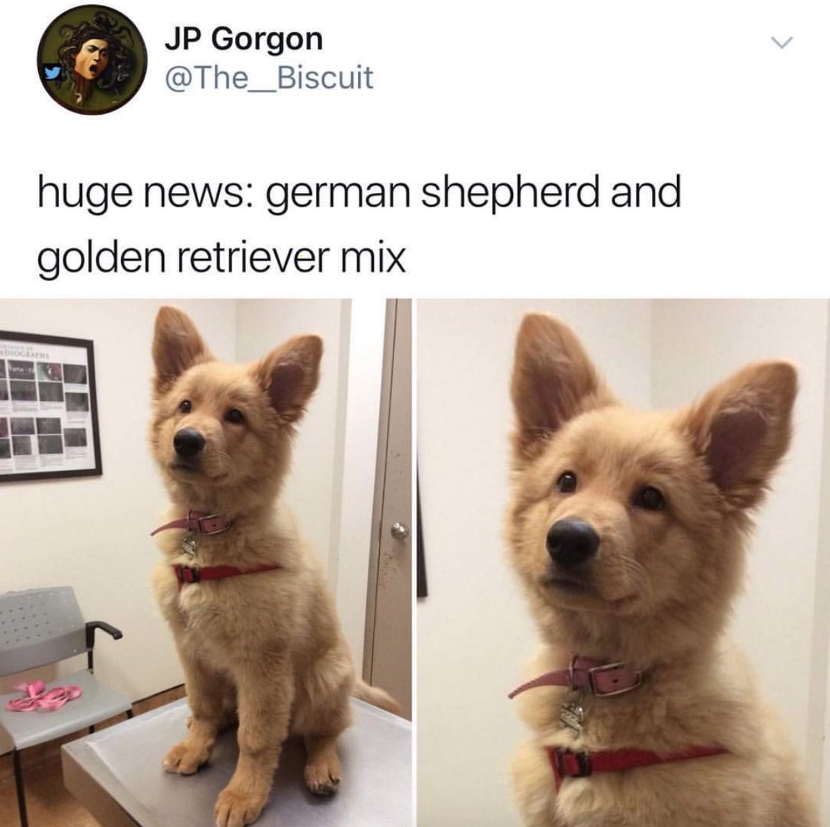 Megan tweet media
