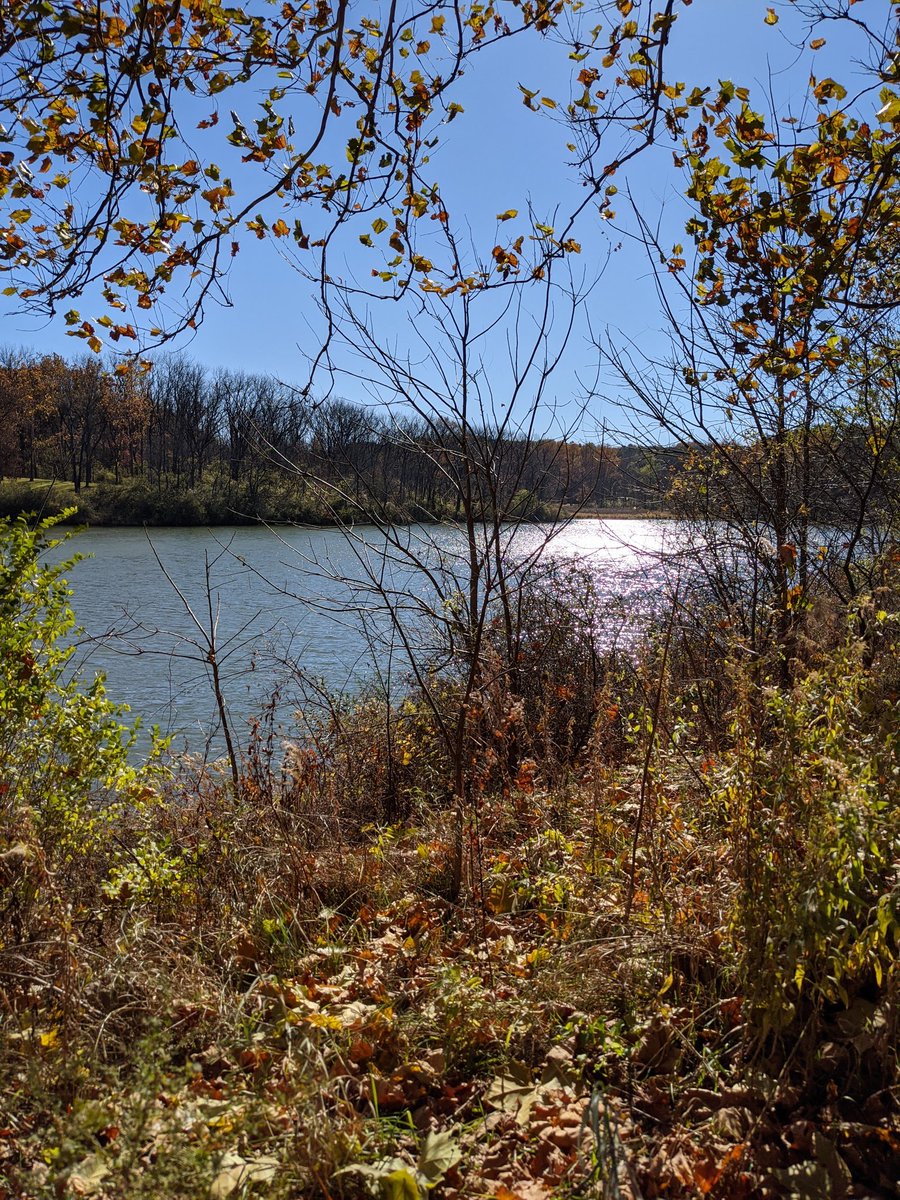 hawkeyebearsfan's tweet photo. Beautiful day to hike #johnsonpark #hike #familyTime https://t.co/NqzoYSQOW1