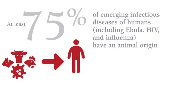  #DidYouKnow that 75% of emerging infectious diseases of humans are of animal origin? 4/n #OneHealthDay Source:  https://www.oie.int/en/for-the-media/onehealth