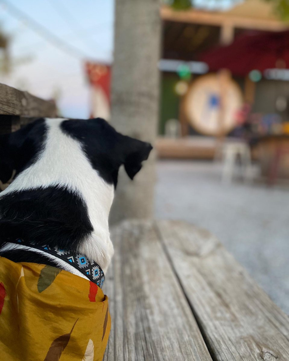 Peeping Happy Hour, fresh out the polls like 👀. Don't NOT vote, Camp Fam! Come hang out on the patio when you're done. Polls close at 7p, Drinks pourin' til 9p!⁠
⁠
📷 @rocketcity_merk