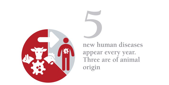  #DidYouKnow that of 5 new human diseases that appear every year, 3 are of animal origin? 5/n #OneHealthDay Source:  https://www.oie.int/en/for-the-media/onehealth