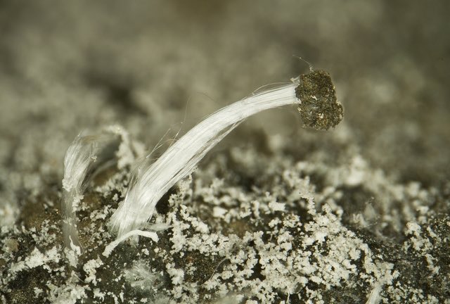 > Investigate rozenite“Pyrite oxidizes into melanterite, which dehydrates into rozenite,” you recite.It’s always fun when  #YouFindARock twice with one sample! Vincent Bourgoin