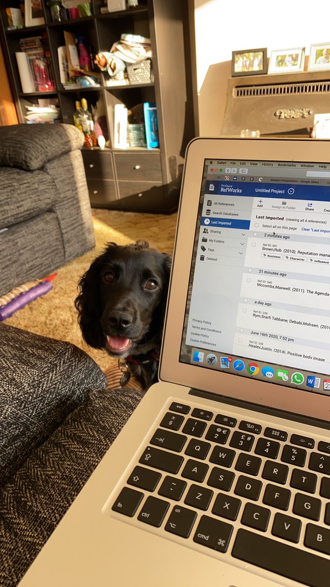 Today I found out I got a DISTINCTION in my Masters Dissertation. Proud as punch. 😭🥰 Thanks to my little pup for always cheering me on 😉 #MasterAbi