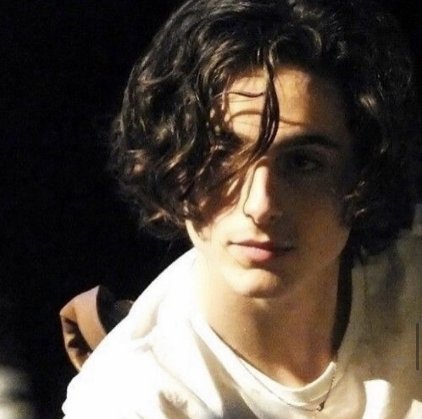 Timothée Chalamet Is in His Emo Era