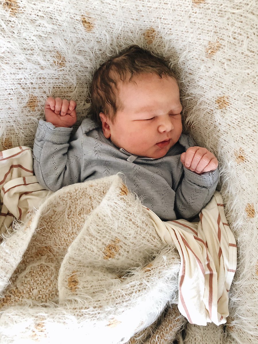 D_Brock10's tweet photo. Eleanor Marie Brock is in the building! Major respect for showing up early - she obviously didn’t want to miss any basketball games.

My wife is my hero.

@enews 
@people 
@TMZ https://t.co/inhVokzNZl