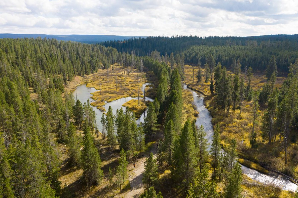 ShortlineTrail's tweet photo. @hwinkler4real Happy belated birthday, Henry! We are raising money to convert the abandoned railroad bed near your favorite place (West Yellowstone, obviously) into a hiking-biking-fishing trail! Any chance you would donate an autographed photo for our online auction? Thanks! https://t.co/MINzPPQyzb