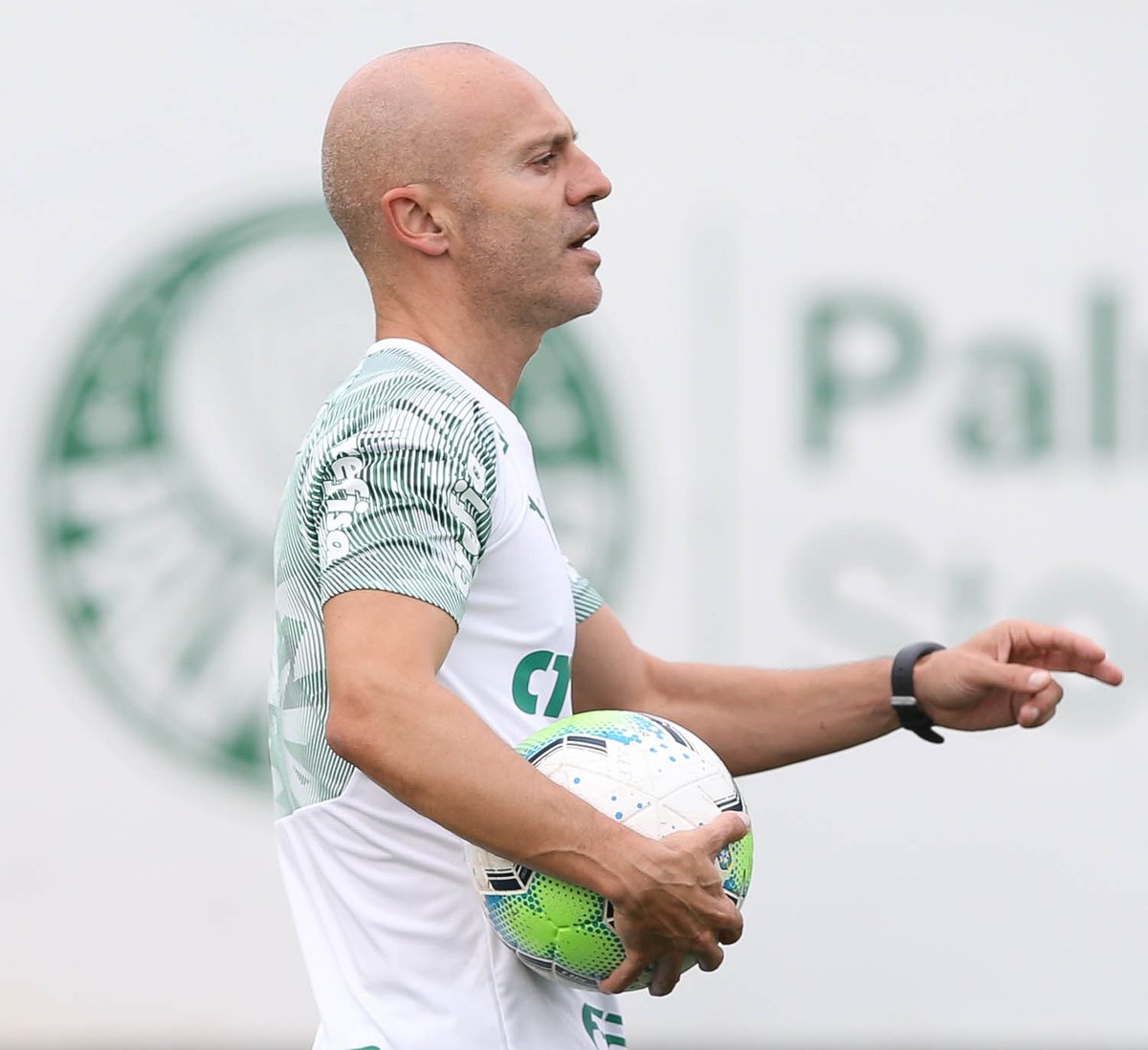 SE Palmeiras tweet media