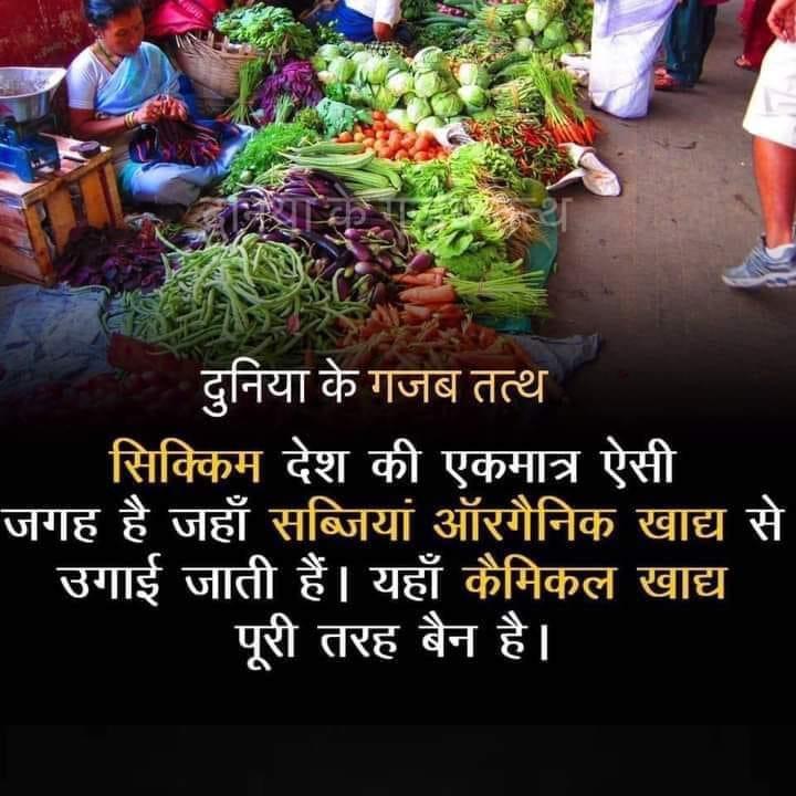 OrganicFarming0's tweet photo. https://t.co/MSQAOSYMVc
