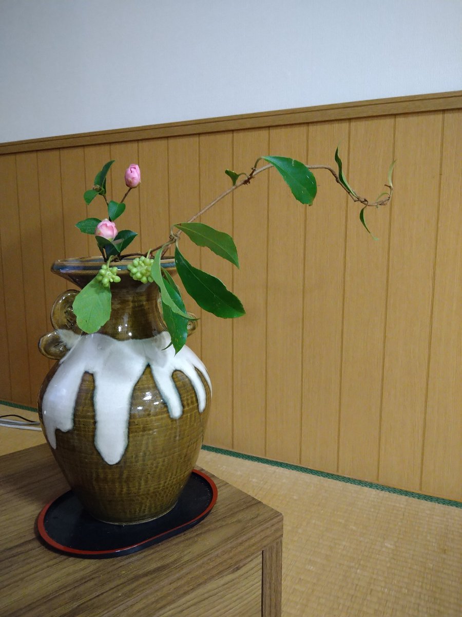 HirocomcomUp tweet picture