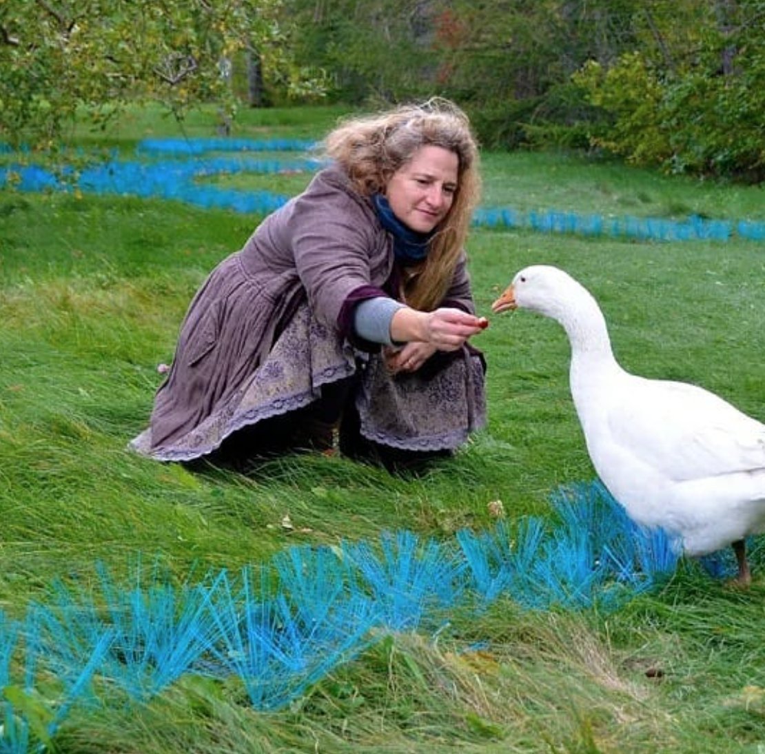 FAtrocities's tweet image. Friday, Nov. 6th, 4:00 - 5:00 pm!! 

Join the Zoom panel discussion to hear  Stacy Levy, Eve Mosher, and moderator Diane Burko discuss this pressing issue of climate crisis flooding. 
us02web.zoom.us/j/88493214349?…

Meeting ID: 884 9321 4349
Passcode: 931885

Here featured Stacy Levy!