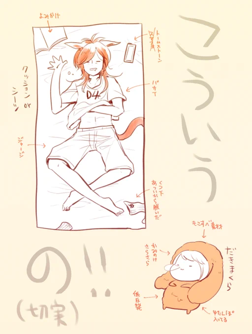 どうせ脱ぐなら「いつも通り適当無防備」がいいし、どうせ抱きしめるなら立体がいいと思っている、あれ系のグッズ

※グラハと自キャラ 