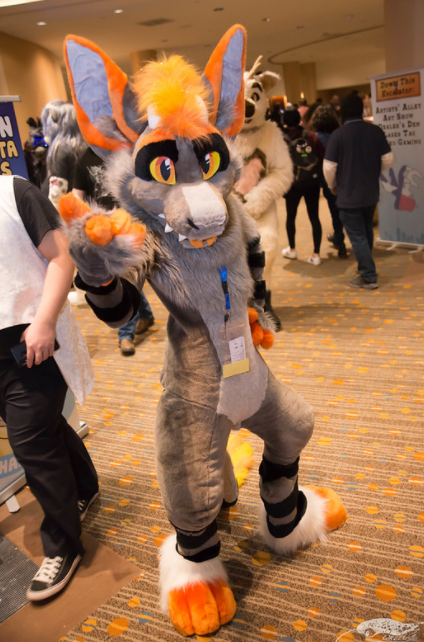 Confoxtion's tweet photo. Memories - One of the best cons experiences so far, thank you so much to everyone who made my first time at @FurryFiesta 2020 such a blast, can't wait to go back for more!
📸@Orzel /TastyEagle
✂️Multicolorbark
#TFF20 #fursuiter #furry #fursuit #dragon #multicolorbark https://t.co/JGCd7QxE6I