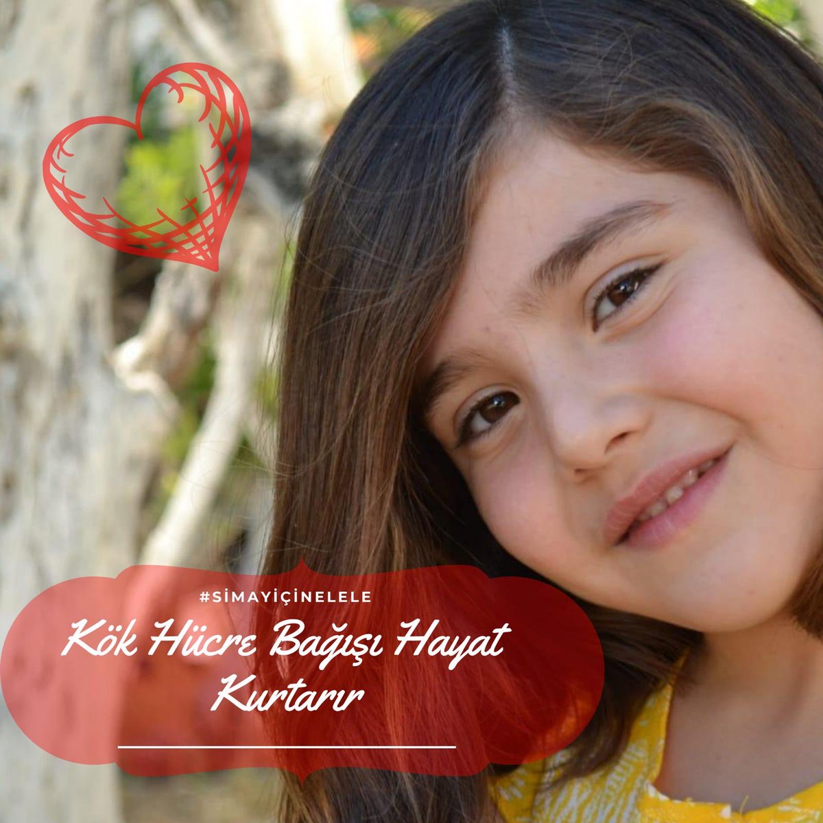 Şu anda BU TWEETİ gördüyseniz 
RT yapabilir misiniz Lütfen!

Lösemi Teşhisi Konulan Minik Simay İlik Nakli Bekliyor 

Kök Hücre Için 3 Tüp Kan Ver #SimayaUmutol 

#carsamba
#zarifedogan
#Trump
Biden
#Elections2020