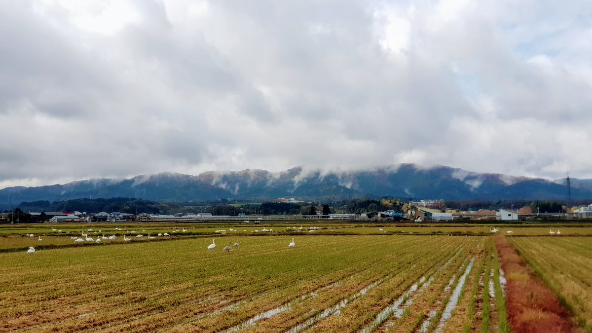 羽後 町 天気