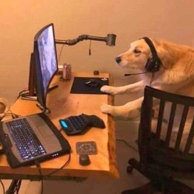 SamuRodriguez5's tweet image. yo viendo y analizando las #Elecciones2020 sin ni siquiera haber pisado jamás eeuu