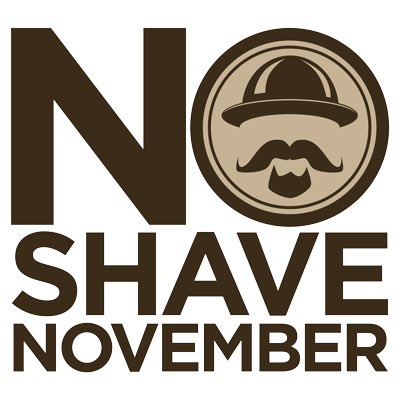 PaddyKoltsaklis's tweet photo. Who’s with me?!? No-Shave November 2020! #LETITGROW It’s almost time to put down your razors, scissors or clippers and grow out your hair for cancer prevention. No-Shave November is a month-long campaign to raise awareness and funding for cancer prevention, research and education https://t.co/pWb9BKOGI2