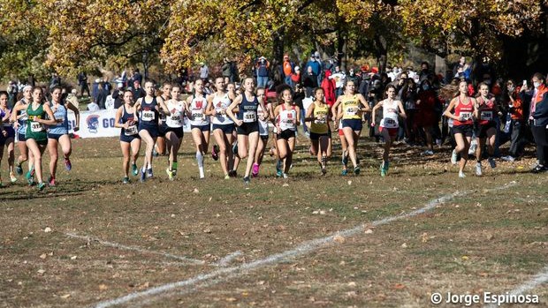 MSHeartland_'s tweet photo. A recap of the girls sectional action ---> https://t.co/fPcT4mfzXW #toeingtheline https://t.co/M5TQkbxYK4