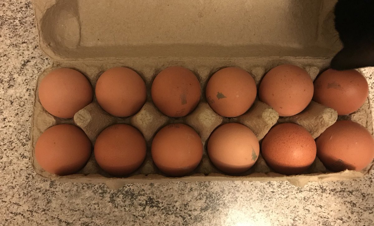 schulercami's tweet photo. Así como lloré públicamente, agradezco públicamente. Me contactaron desde @JumboChile #PedroDeValdivia y me dieron solución inmediata. Una caja de huevos Cuisine&amp;Co intacta 👌🏻 https://t.co/WA6GsvpIb1