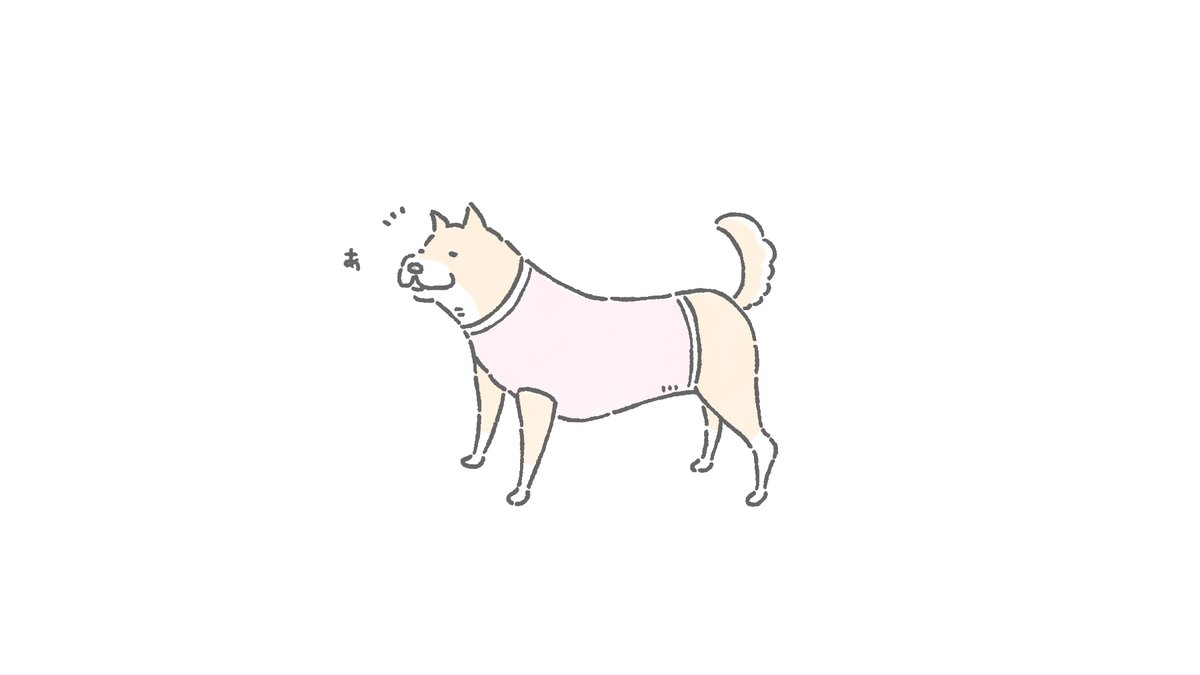 柴犬イラスト