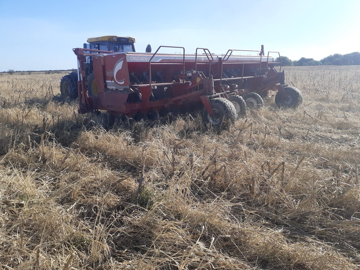 Buen comienzo de siembra de soja, buen avance y con  lotes de alto nivel cobertura.
