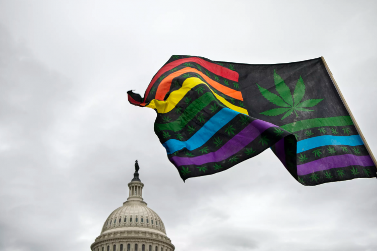 Live results for 2020’s marijuana legalization ballot measures buff.ly/3mMkcUX
