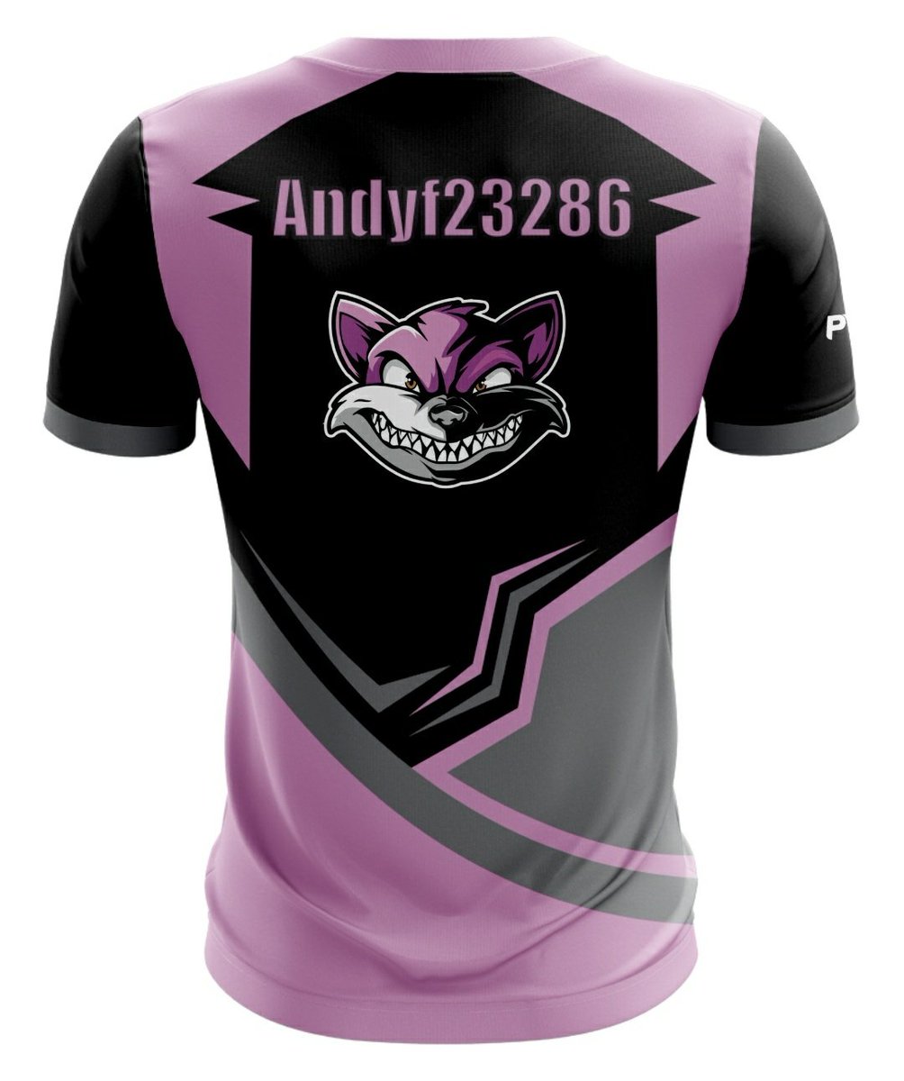 weasel_team's tweet photo. Team Weasel would like to announce the arrival of @Andyf23286 who takes lead of our iRacing team! And also @EpicOlly2 who also joins Team Weasels iRacing team!!! #teamweasel #weaselnation https://t.co/SBAzeU4FCK