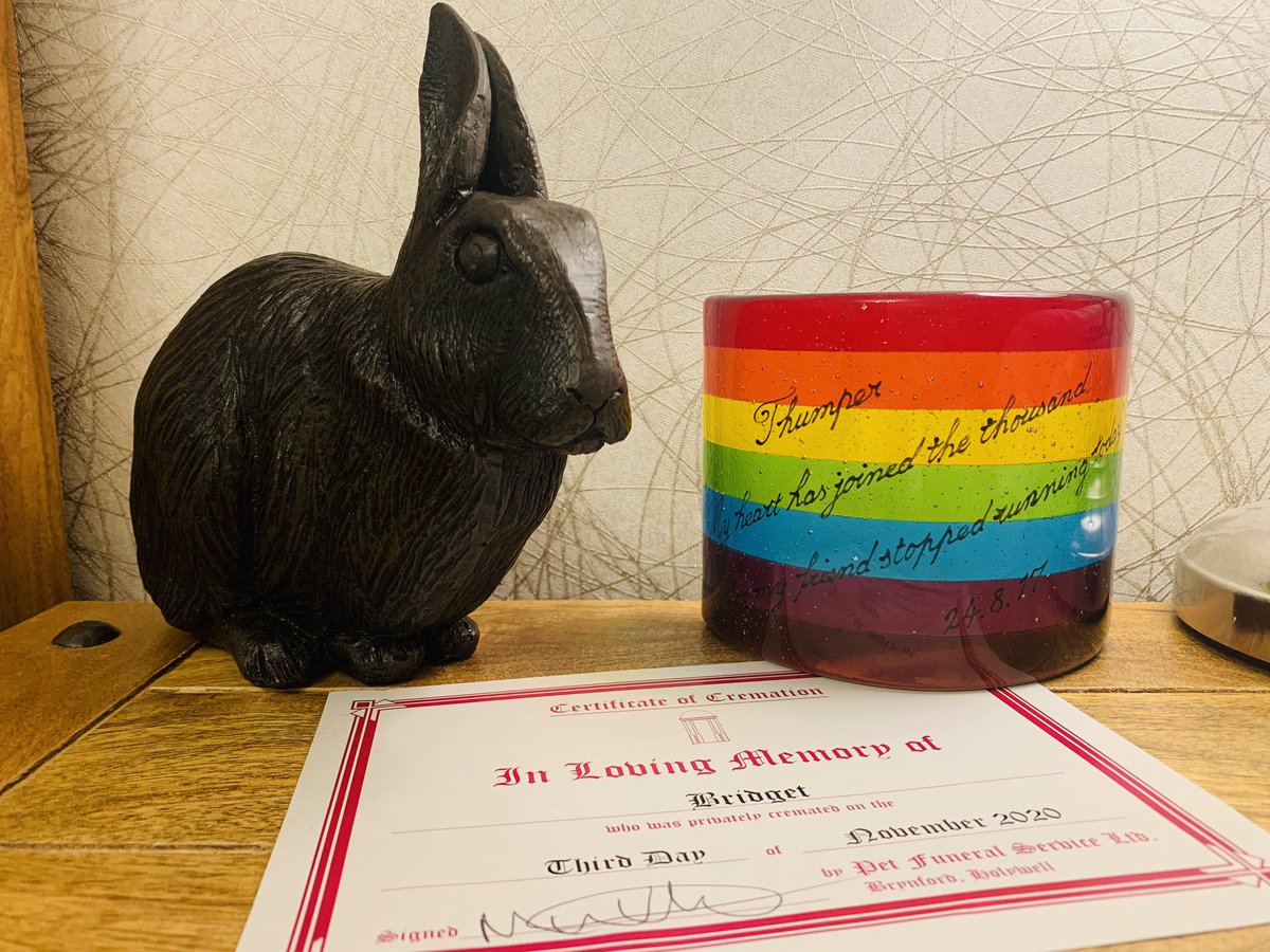 She’s home and reunited with Thumper ❤️💔🌈🐰