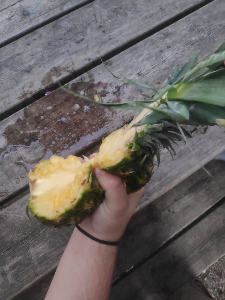 Pineapple on everything.