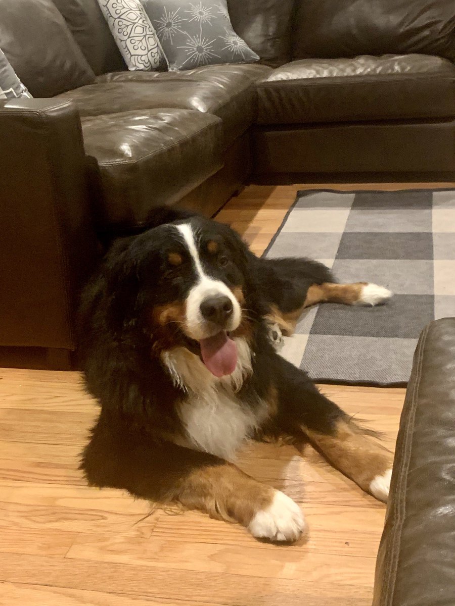 LynnGriffor's tweet photo. @darth Cooper feeling confident! https://t.co/Q8rc6ceqB6