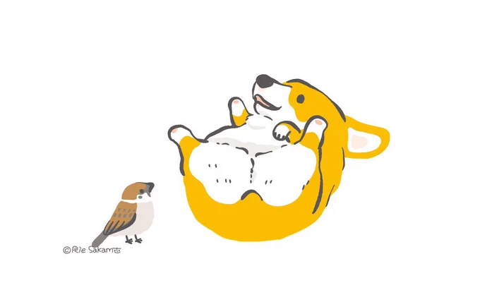 推しのおしり その2
#コーギー #野鳥 #いいおしりの日 #いい推しの日 