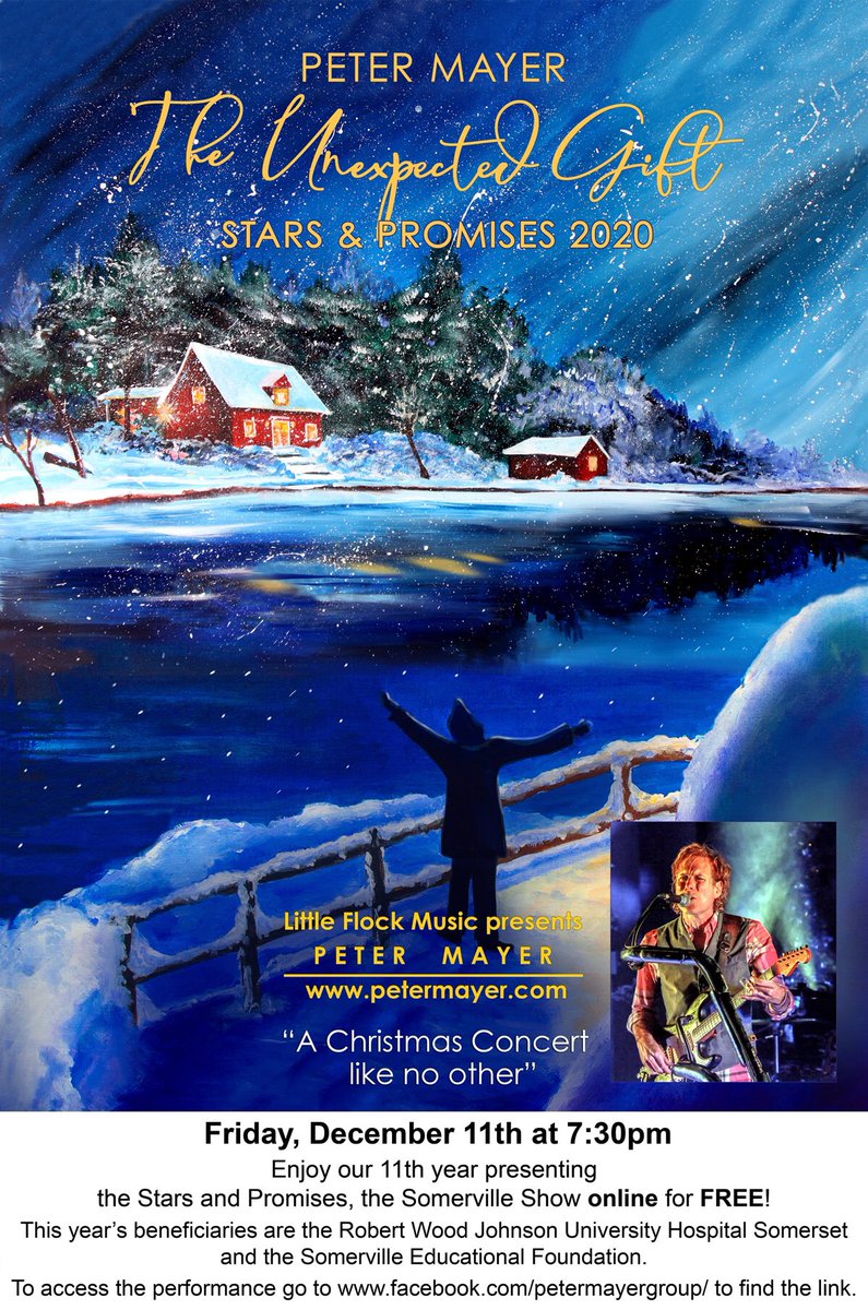 The SEF is excited to announce that this year’s annual Stars &amp; Promises concert will be shown online for free thanks to Corporate Donors.  A tip jar will be available.
On Dec 11th at 7:30pm Join us by way of Peter Mayer’s facebook page facebook.com/petermayergrou…  Don’t miss this!