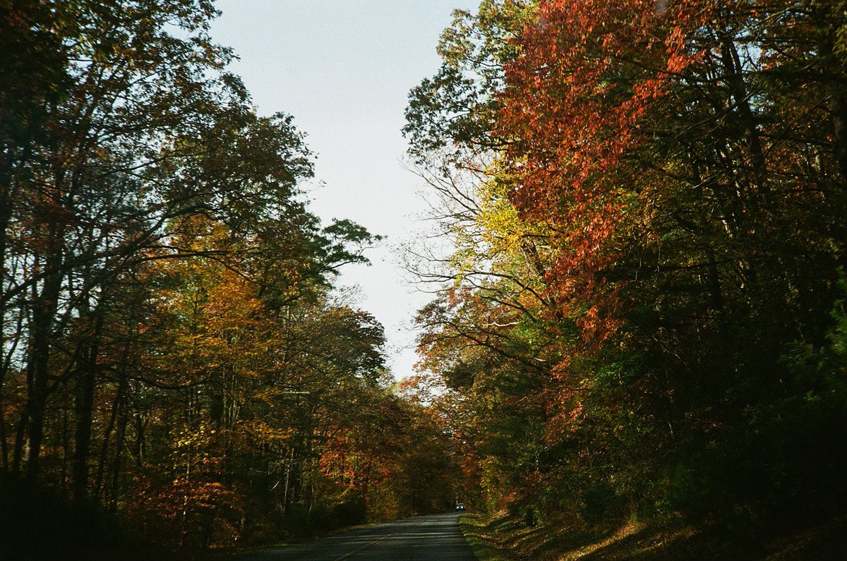 Some #120film and #35mm from the other weekend in Boone 🍂